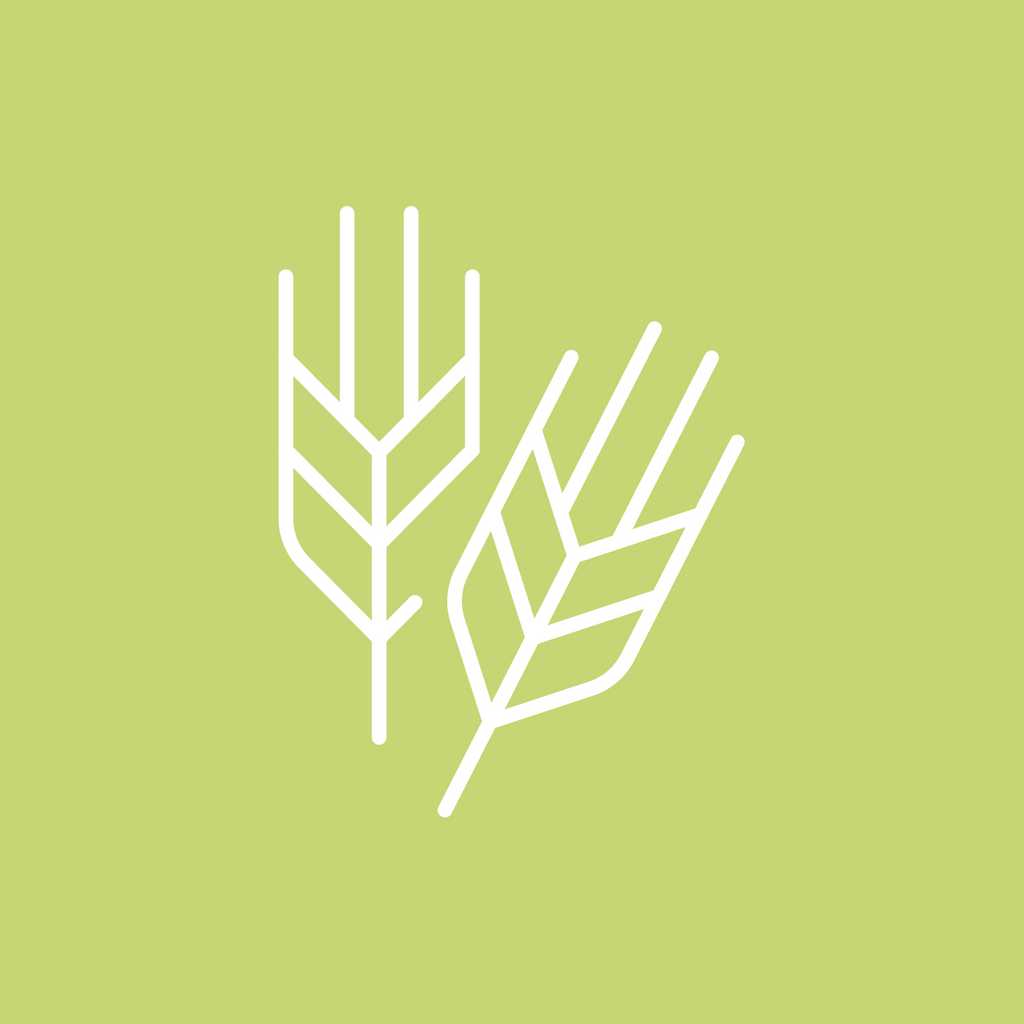 Wheat & Gluten